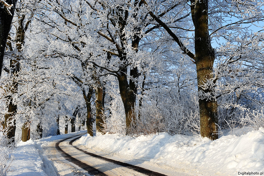 Droga, las - śnieżna zima