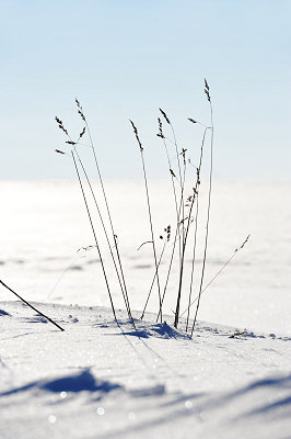 Inverno - neve fotos, paisagem natural
