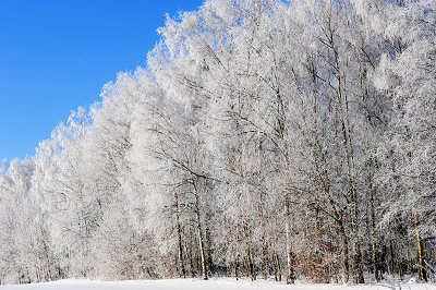 Belles images d'hiver