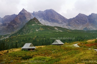 Hala Gąsienicowa, Dolina Gąsienicowa w Tatrach