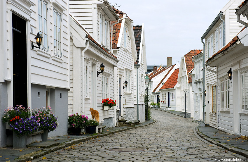 Zdjęcia ze Stavanger, Norwegia