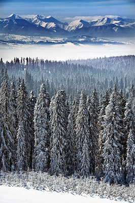 Vinterlandskab, bjerg i vinteren