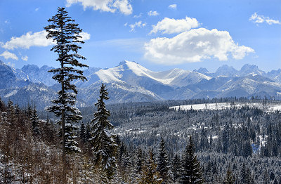 Vinter i bergen, bergslandskap, vykort
