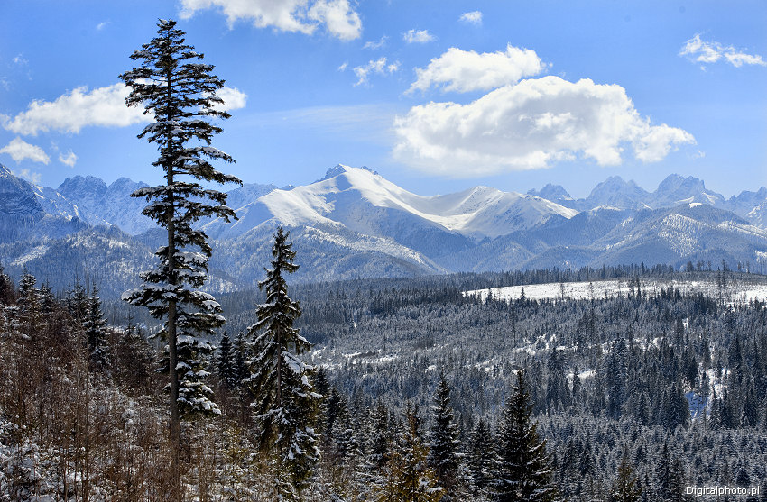 Vinter i bjergene, bjerglandskab, postkort