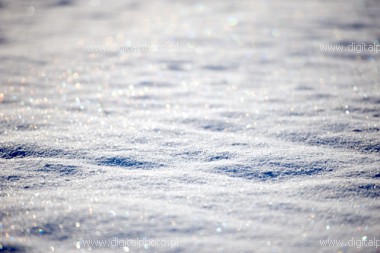 The snow sparkles, Winter
