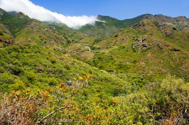 Tenerife nature photography