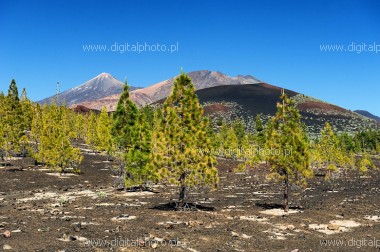 Volcanoes of Tenerife, stock photos
