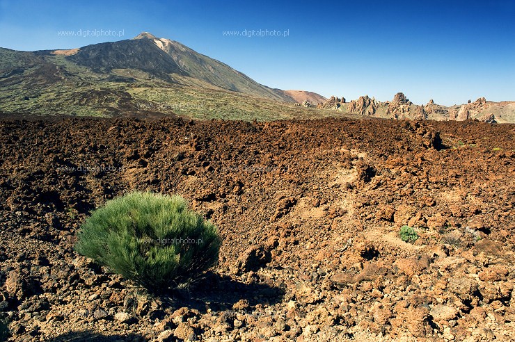 Nature photography Tenerife, volcano