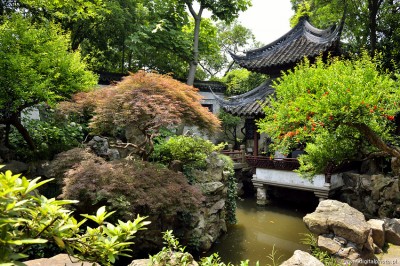 Kinesisk trädgård, Shanghai  fotogalleri