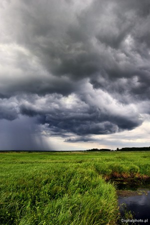 Storm natuur foto's