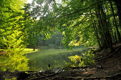 Nature reserve, lake
