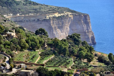 Dingli Cliffs, Kalkklipper Malta