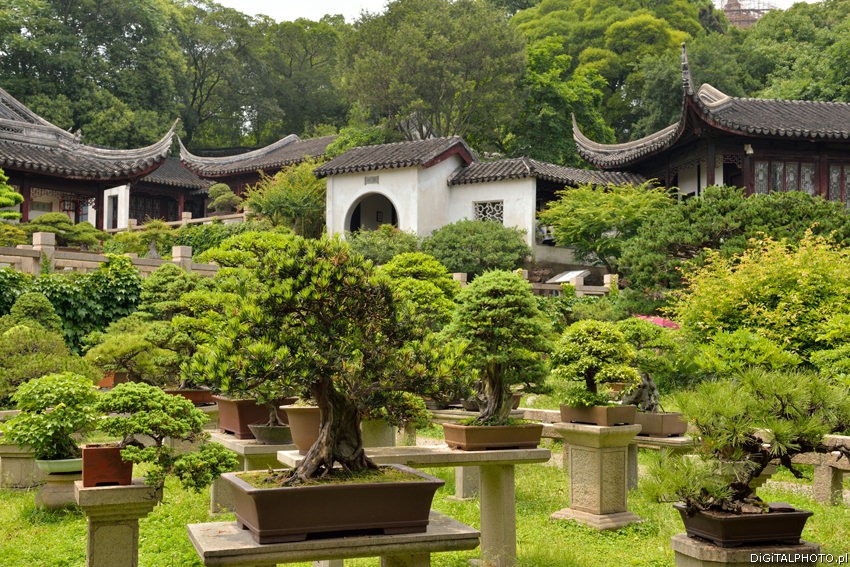 Ogród w Chinach, Tiger Hill, Suzhou