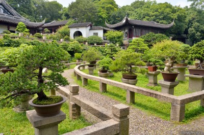 Bonsai Garten