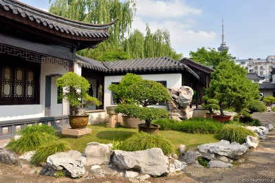 Bonsai garden in Nantong