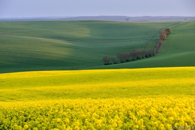 South Moravia landscapes