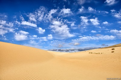 Sanddyner Fuerteventura