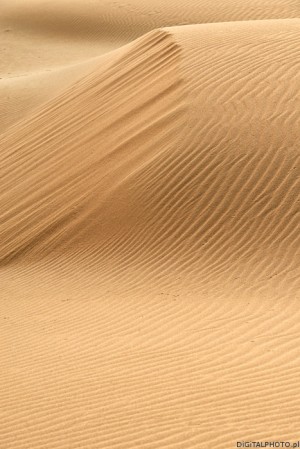 Dunes de sable, Jandia