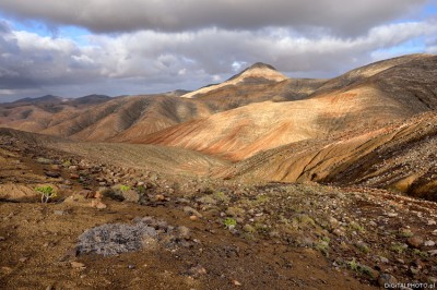 Fuerteventura landskap