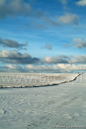 Zimowe krajobrazy - śnieg na polach