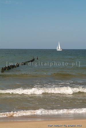 Jacht na horyzoncie - Zatoka Gdańska